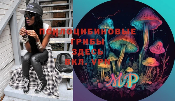 таблы Няндома